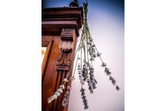 Villa Arboretum Апартамент 1 – app1 2+2 фото 5