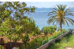 Villa Nelly Апартамент 1 – Apartman C фото 1