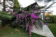 Flowers апартамент Medulin, Fucane 2 Апартамент 1 – Bugenvilia фото 2