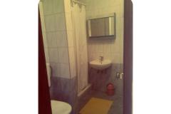 апартаменты Ivana Апартамент 1 – Apartman 2 фото 4