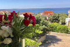 апартаменты Villa Ana Апартамент 3 – A5 фото 5