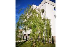 апартаменты Dalmacija Апартамент 2 – apartman 2 фото 1