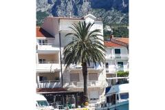Palm tree apartman Апартамент 1 – Palm tree фото 1