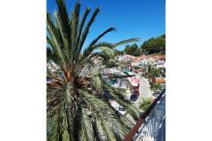 Palm tree apartman Апартамент 2 – Palma фото 1