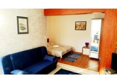  Rajcic apartmani Апартамент 3 – studio2+1 фото 2