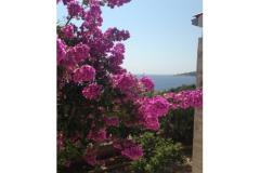 Vesna apartmani Апартамент 2 – A2 фото 1