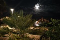 Villa Kairos Номер 7 – TR-301 фото 1