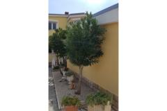 Ferienanlage Villa Ljiljana Апартамент 2 – Bungalow фото 2