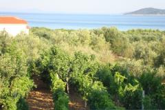 Antonela  Апартамент 4 – Seaview D фото 4