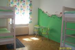 Chameleon hostel Номер 1 фото 1