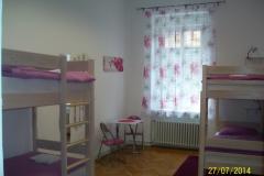 Chameleon hostel Номер 2 фото 1