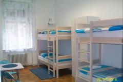 Chameleon hostel Номер 3 фото 1