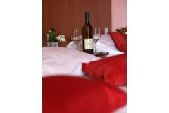 Hotel Zagi Номер 3 – Trokrevetn фото 3