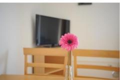 Appartement Graf Апартамент 3 – Ap 2+3 фото 4