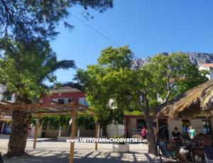 апартаменты Plavi Jadran