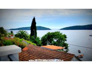 апартаменты Villa Riva Molunat