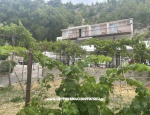 апартаменты Stanic
