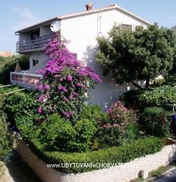 Villa IBIS