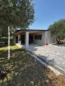 Primorje фото 2