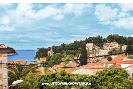 Ucovic апартаменты фото 2