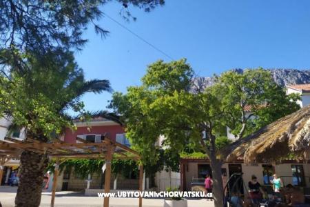 апартаменты Plavi Jadran Drvenik Хорватия