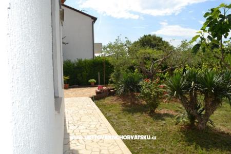 Vila Nona Ivka фото 4