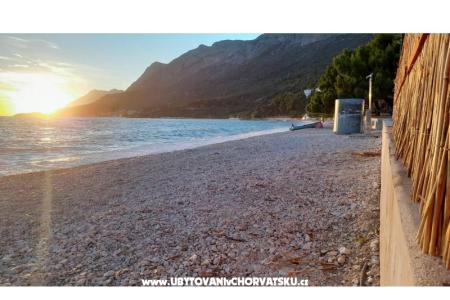 AntonBille фото 2