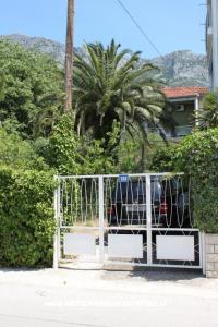 комнаты Katja Gradac center фото 2