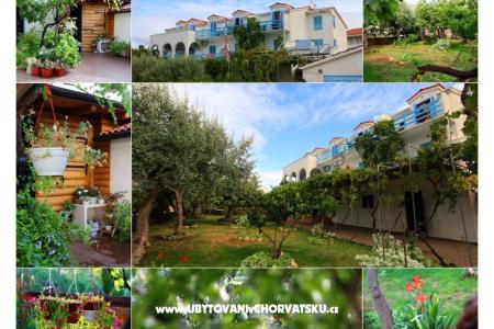 Jadranka Franičević остров Хвар Хорватия
