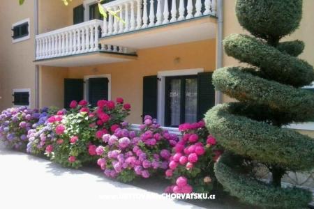 Villa Carevic фото 4
