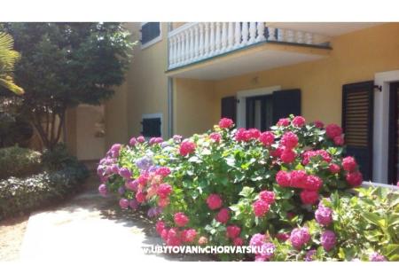 Villa Carevic фото 5