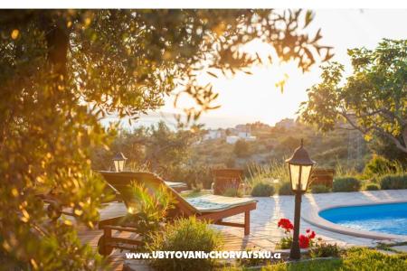 Rustic Oliveto фото 2