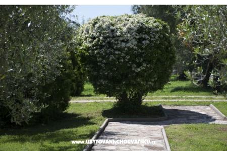 Sanja апартаменты Novigrad фото 3