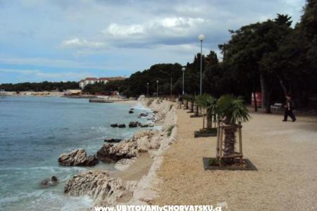 Zeleni gaj rooms & apartment фото 2