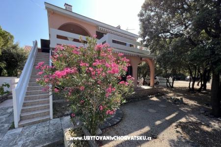 Simuni Holiday home фото 2