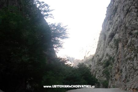 апартаменты vesela фото 5