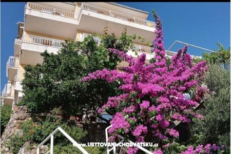 Villa Skala фото 2