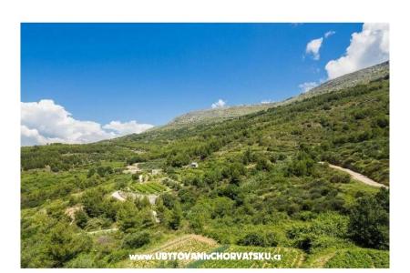 Carso Olea фото 4
