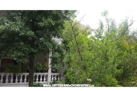 Arba фото 2