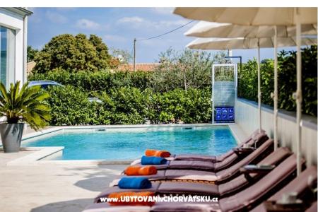 апартаменты Kimi with swimming pool  Ровинь Хорватия