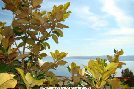 апартаменты MaDi  фото 5