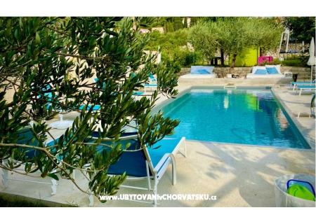 Villa Dube Slano/ villa с бассейном фото 3