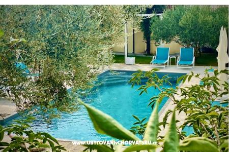 Villa Dube Slano/ villa с бассейном фото 4