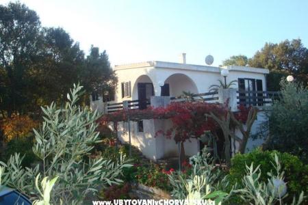 Villa Bepina остров Шолта Хорватия