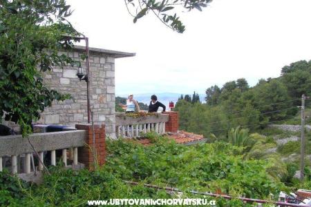 Villa Palmira фото 3
