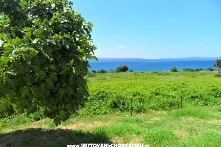 Summerhouse Belomo фото 3