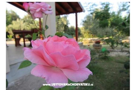 Дом отдыха Dević фото 2