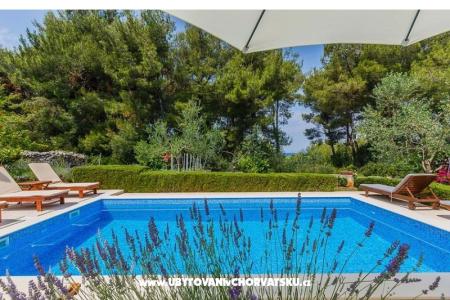 Villa Kamenica фото 4