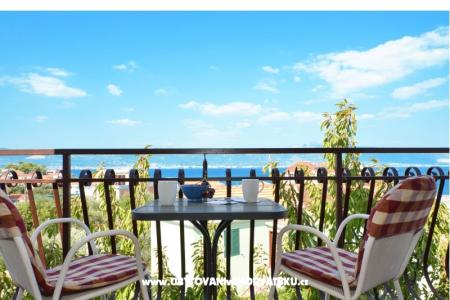 апартаменты  Mirjana фото 3