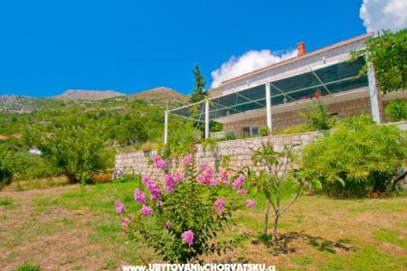 Villa Boskovic фото 2